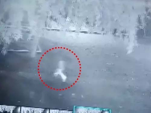 गुजरात: जूनागढ़ में तेंदुए ने 6 साल की बच्ची को मार डाला, घर के बाहर खेल रही थी मासूम, पीछे से हमला कर उठाकर भागा, खेत में मिला शव; पकड़ने के लिए 8 पिंजरे लगाए गए