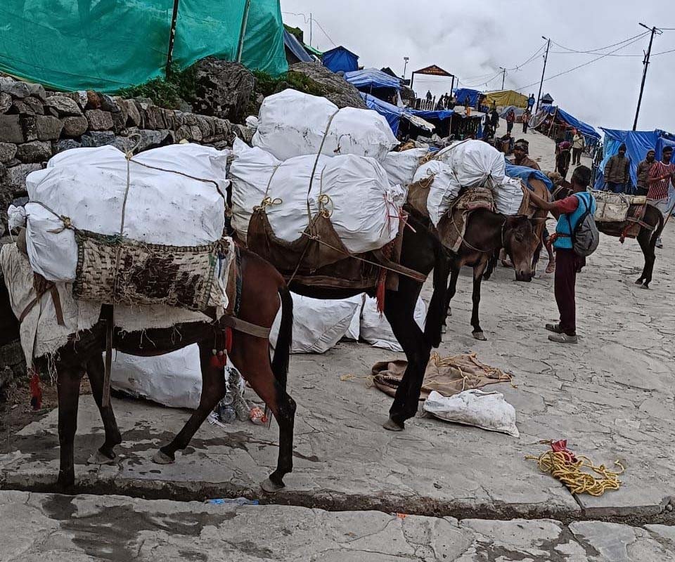 BIG NEWS: केदारनाथ धाम में 15.45 लाख श्रद्धालुओं ने 156 दिन में फैलाया 250 टन कचरा, पिछले साल से 10.7 गुना ज्यादा; कूड़े की सिल्लियां बनाकर डिकंपोज करने की तैयारी