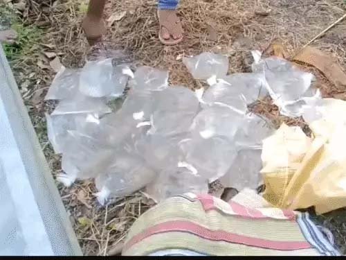 BIG NEWS: नगालैंड में जहरीली शराब पीने से 19 लोगों की मौत, 19 गिरफ्तार, छापेमारी में 3000 बोतलें जब्त; राज्य में 36 साल से शराब बैन है