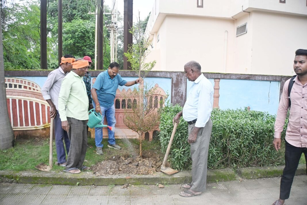 KORBA : ’’एक पेड़ मॉ के नाम’’ : पुष्पलता गार्डन से आगे ब्लू बर्ड स्कूल मुख्य मार्ग में किया गया वृक्षारोपण