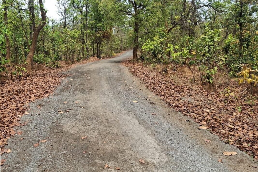 KORBA : मुख्यमंत्री ग्राम सड़क योजना के तहत तीन ग्रामीण सड़कों के सुदृढ़ीकरण को मिली स्वीकृति