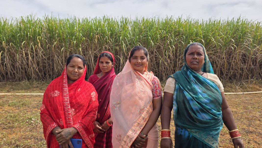 रायपुर : मुख्यमंत्री विष्णु देव साय के नेतृत्व में बिहान योजना से आत्मनिर्भर बन रहीं ग्रामीण महिलाएं, गन्ने की खेती से ममता राजवाड़े ने बढ़ाई आमदनी