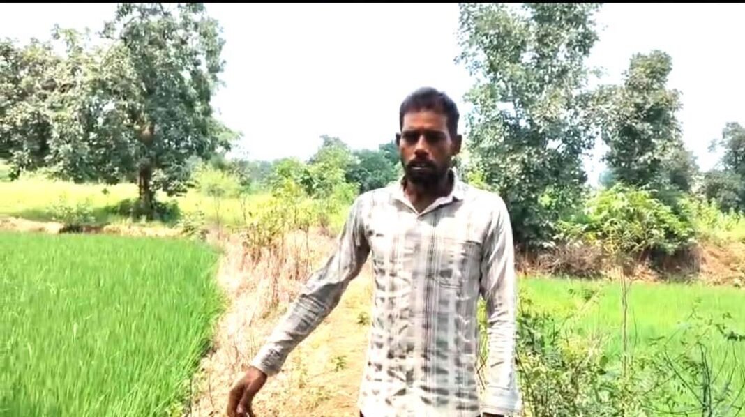 रायपुर : सेवा की कहानी : प्रधानमंत्री किसान सम्मान निधि से जिले के कृषक हो रहे समृद्ध