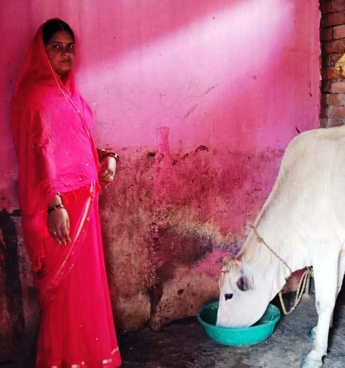 रायपुर : सेवा की कहानी : सक्षम योजना से बदली चंपा देवी की तकदीर, पशुपालन बना आय का जरिया