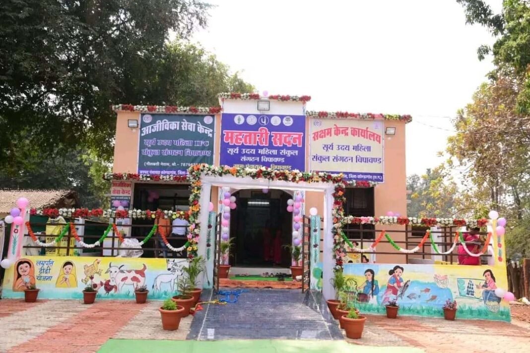 रायपुर : फार्मर प्रोड्यूसर कंपनियों के माध्यम से कृषि सखी एवं पशु सखी की आजीविका को मिल रहा बढ़ावा