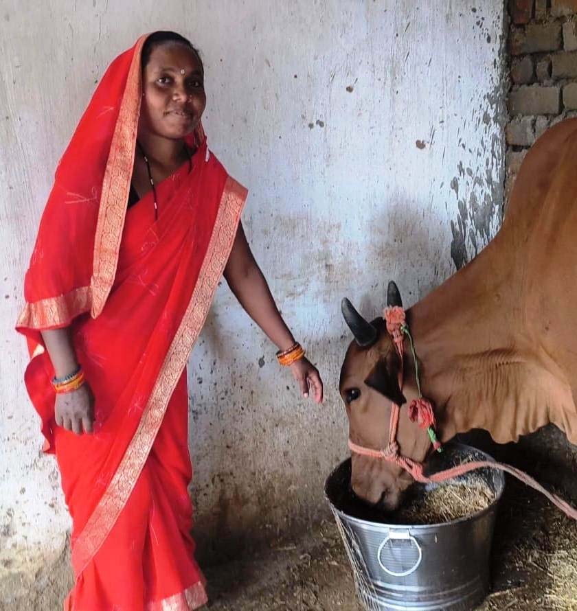 रायपुर : सेवा की कहानी : डेयरी व्यवसाय से आत्मनिर्भर बन रहे जिले के 15 हजार से अधिक पशुपालक और महिलाएं