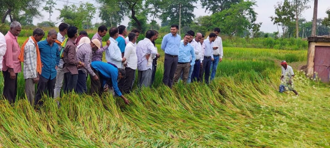 रायपुर : अर्नब तूफान से प्रभावित किसानों को राहत देने सक्रिय हुआ प्रशासन, फसल क्षति का सर्वे शुरू