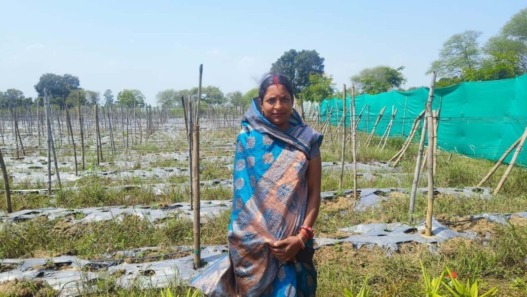 रायपुर : आधुनिक खेती से बदली तकदीर, लखपति दीदी बनकर रिंकी गुप्ता बनीं महिला सशक्तिकरण की मिसाल