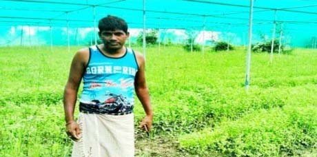 रायपुर : सेवा संकल्प अभियान : सेवा की कहानी : पारंपरिक खेती से आगे बढ़कर बहोरन ने अपनाई आधुनिक उद्यानिकी, सब्जी उत्पादन से बढ़ी आमदनी