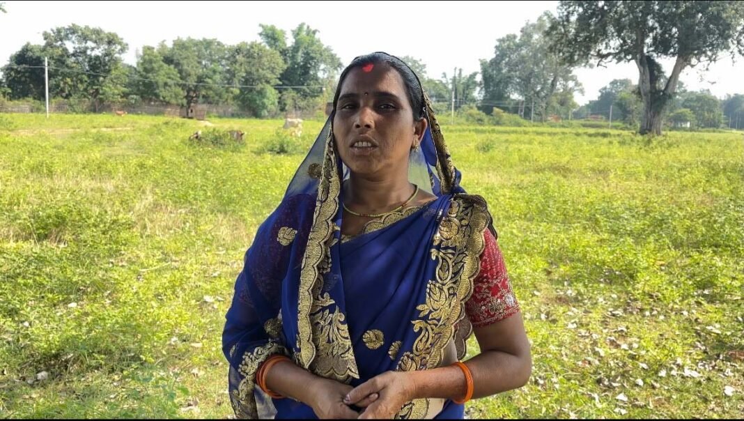 रायपुर : सेवा की कहानी : बकरी पालन से सुनैना की परिवार की जीवन-यापन हुआ आसान
