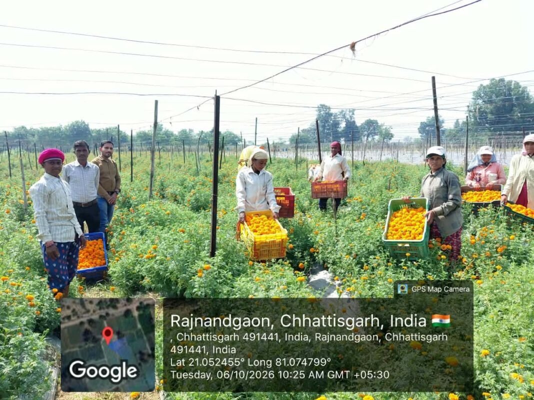 रायपुर : फूलों की खुशबू के साथ समृद्धि की राह पर कृषक घनश्याम साहू