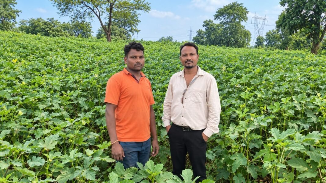 कोरबा: आधुनिक खेती से संवर रहा परिवार का भविष्य, सब्जी उत्पादन से बढ़ी सुमरन सिंह की आमदनी
