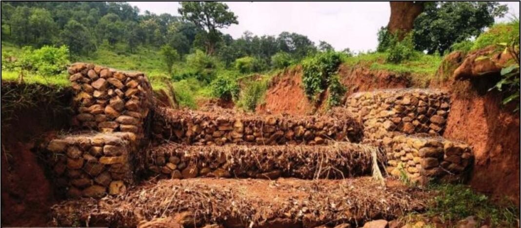 रायपुर : बस्तर में जल एवं मृदा संरक्षण की मिसाल बनी कुरमंडी नाले पर निर्मित गेबियन संरचना