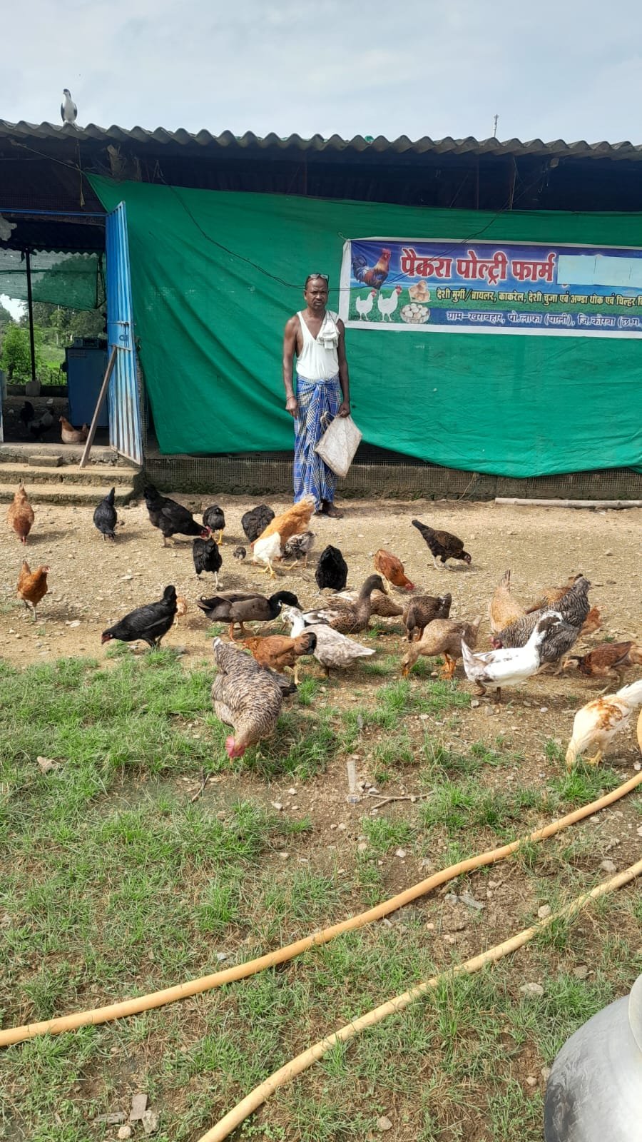 KORBA : सेवा की कहानी : 200 चूजों से संवरा जीवन, मुर्गी पालन ने प्रेम सिंह पैकरा को बनाया आत्मनिर्भर