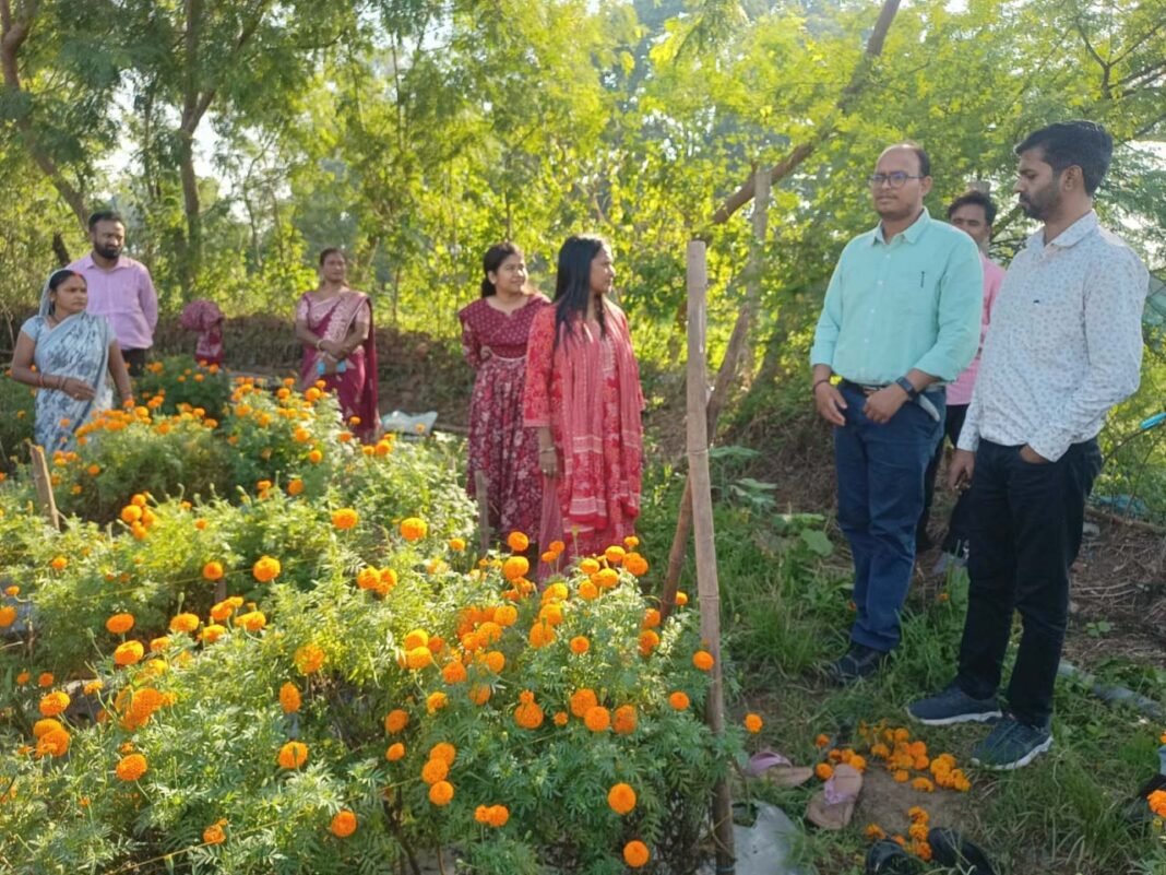 रायपुर : सेवा की कहानी : बिहान दीदियों की फूलों की खेती बनी आत्मनिर्भरता की मिसाल