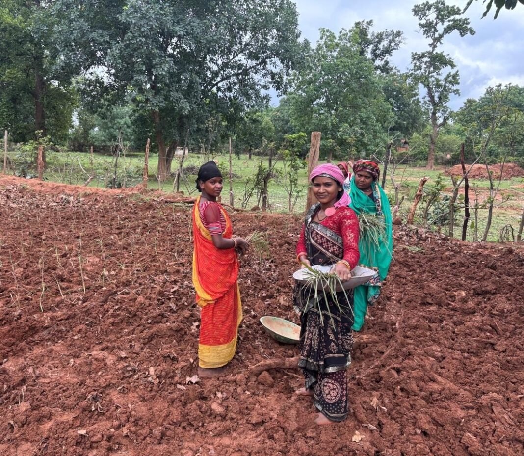 रायपुर : लेमन ग्रास की खुशबू से महक रही आत्मनिर्भरता, जीपीएम की महिलाएं बढ़ रहीं ‘लखपति दीदी’ बनने की राह पर